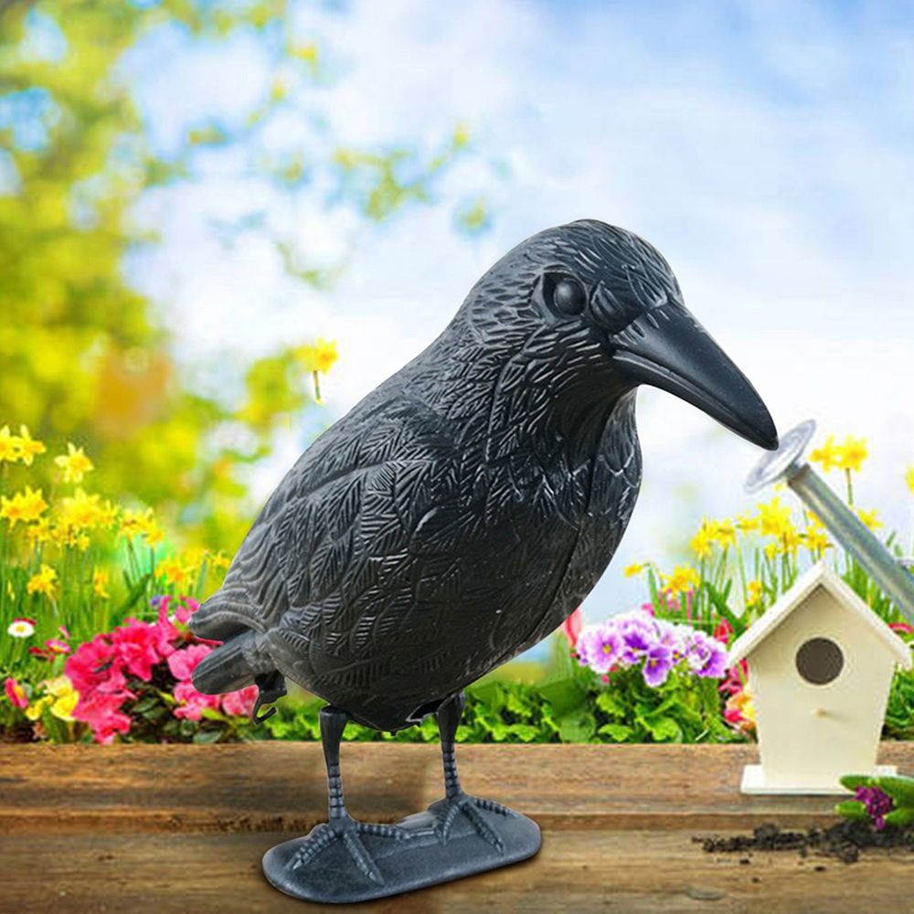 Outdoor Black Life Size Crow R - Hunting Outdoor Decor recension och pris